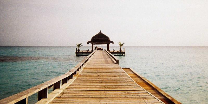 寻觅紫色禅意：Cazzos正品购买指南与深度鉴别攻略