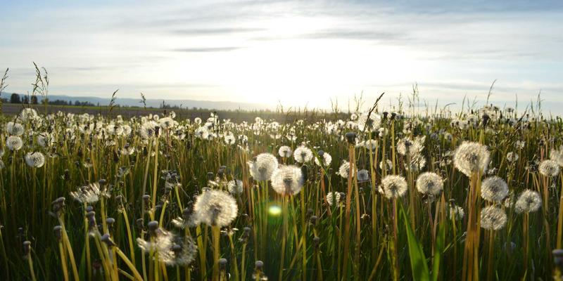 都市机能紫：Cazzos城市骑行系列穿搭指南，解锁通勤背包与骑行服饰的潮流密码
